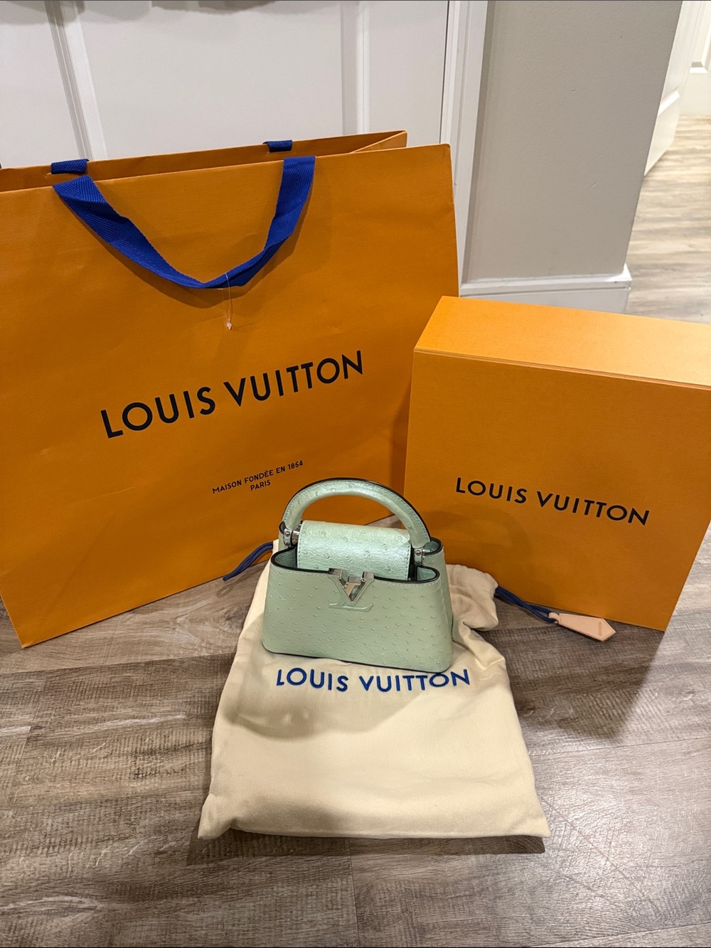 Louis Vuitton Capucines Mini Bag Exotic Ostrich in Mint Green - Picture 1 of 15